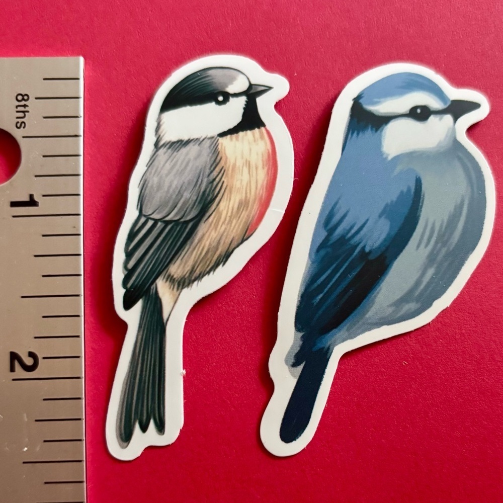 10/$10 Bird Aesthetic Sticker Waterproof Vinyl Water Bottle Laptop Scrapbook